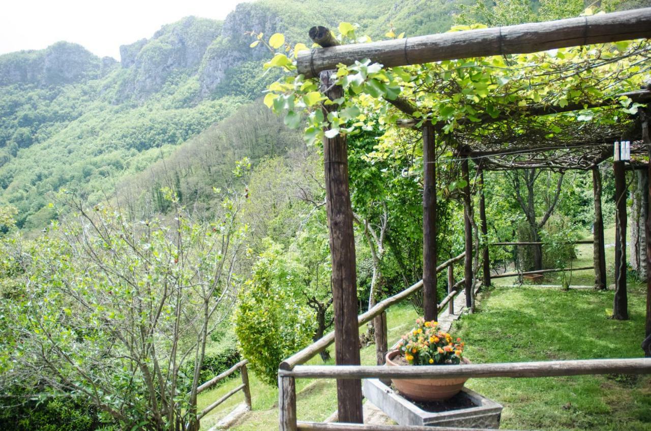 Il Frutteto Natura A Relax Stazzema Exterior photo