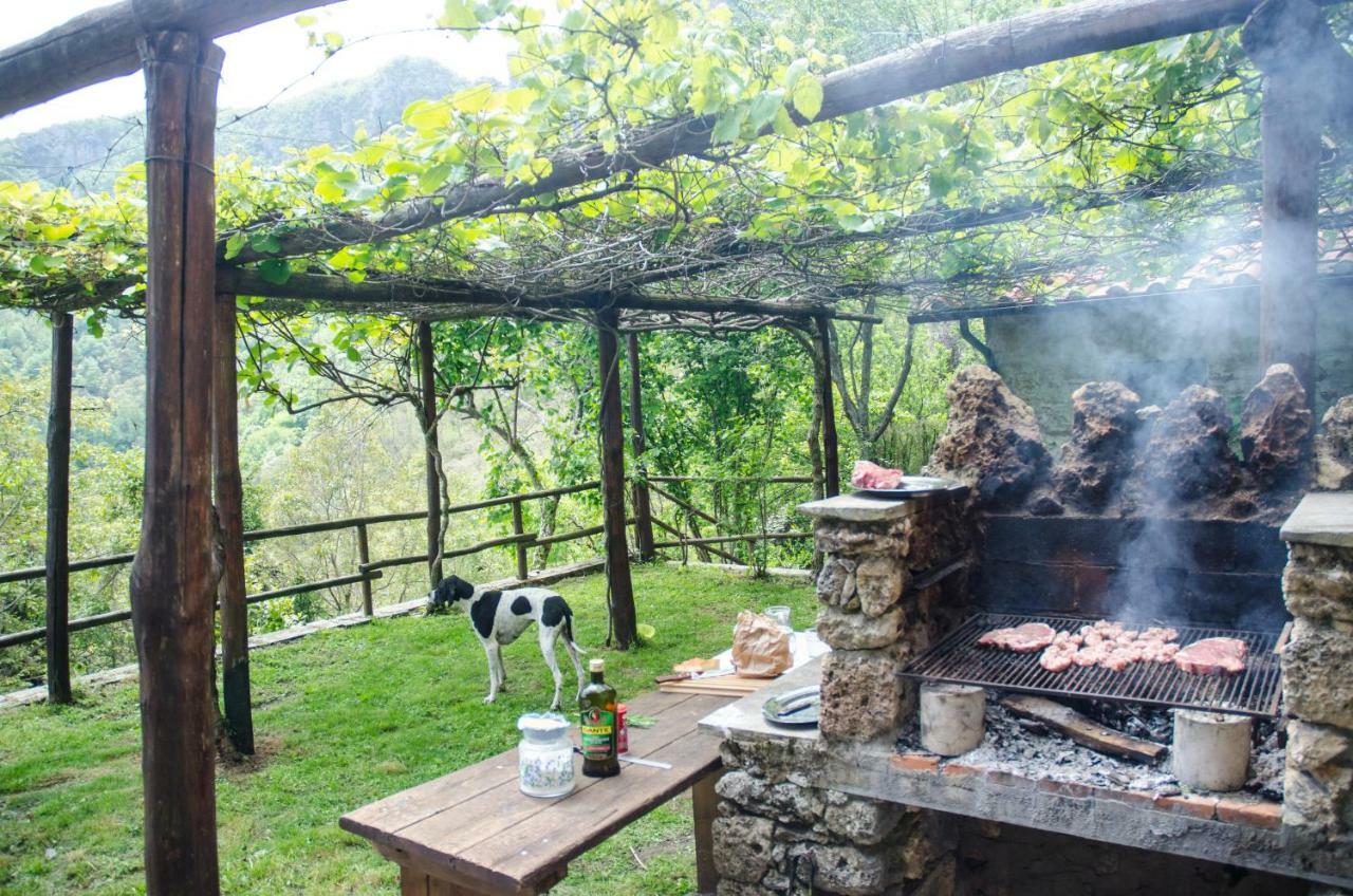 Il Frutteto Natura A Relax Stazzema Exterior photo