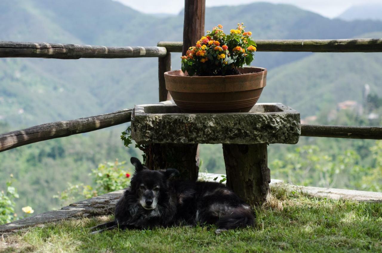 Il Frutteto Natura A Relax Stazzema Exterior photo