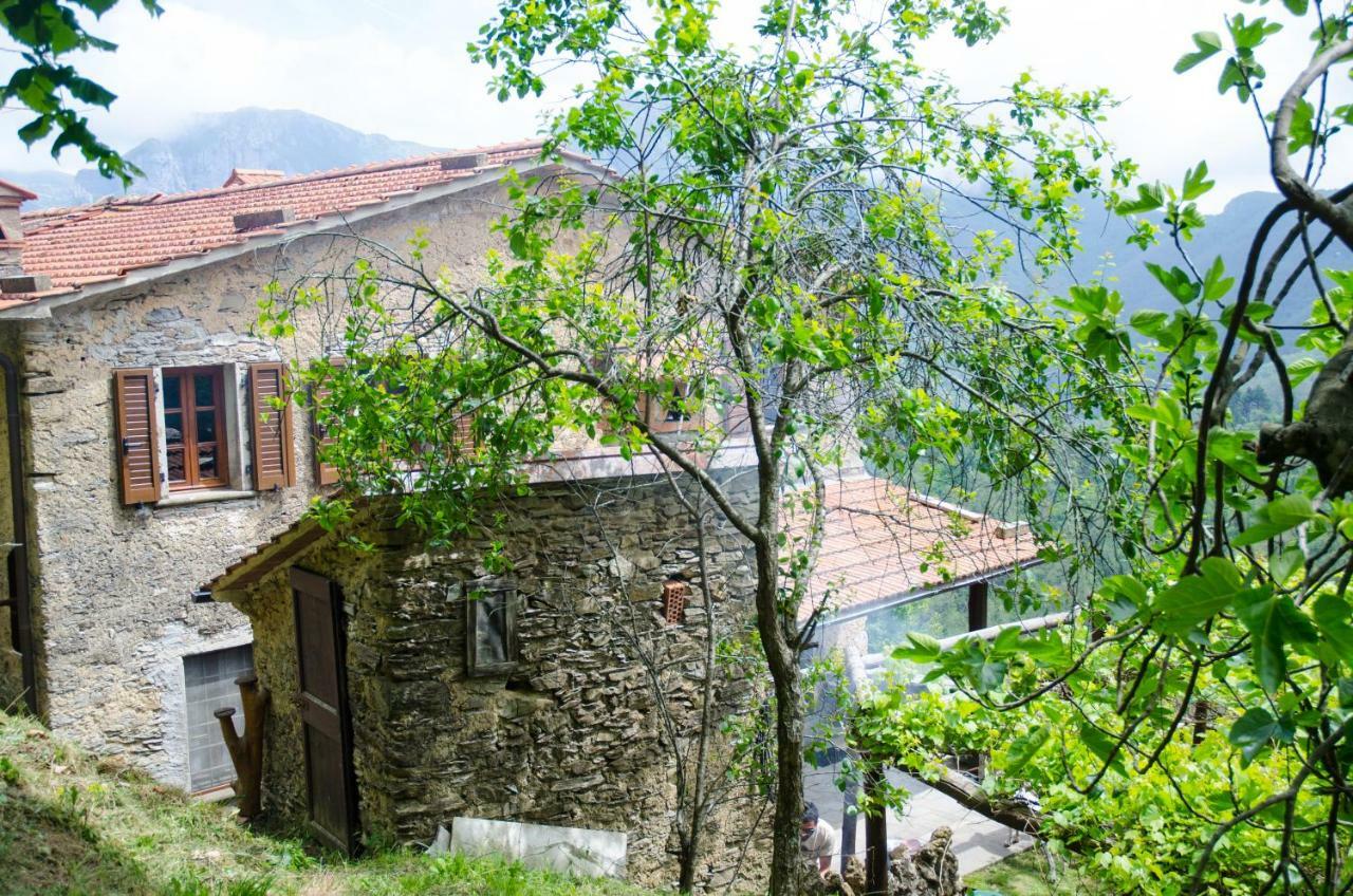 Il Frutteto Natura A Relax Stazzema Exterior photo